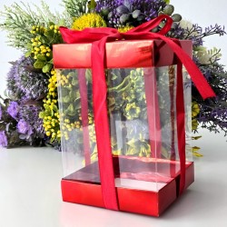 Cutie din plastic transparent cu capac din carton rosu si funda 15cm x 10cm x 10cm